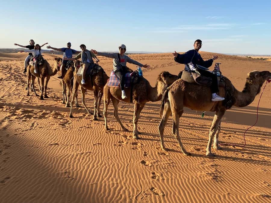 From Fes: 3-Day Luxury Desert Tour to Marrakech via Merzouga - Price and what you really get for about $272