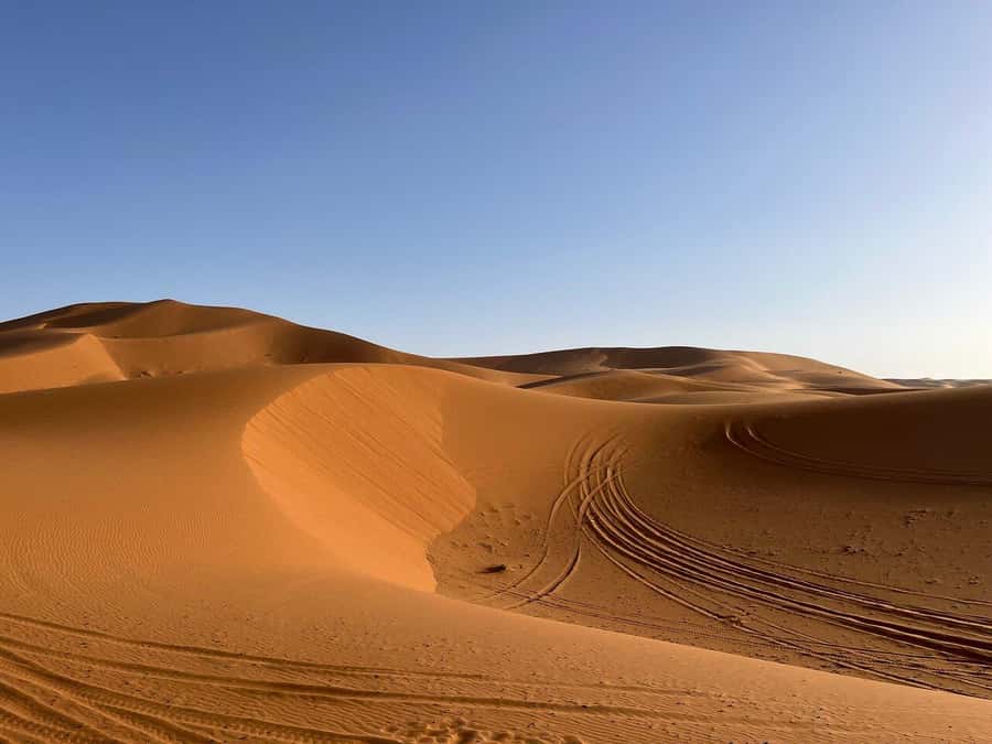 From Fes: 3-Day Luxury Desert Tour to Marrakech via Merzouga - Should you book this Fes to Marrakech tour via Merzouga?