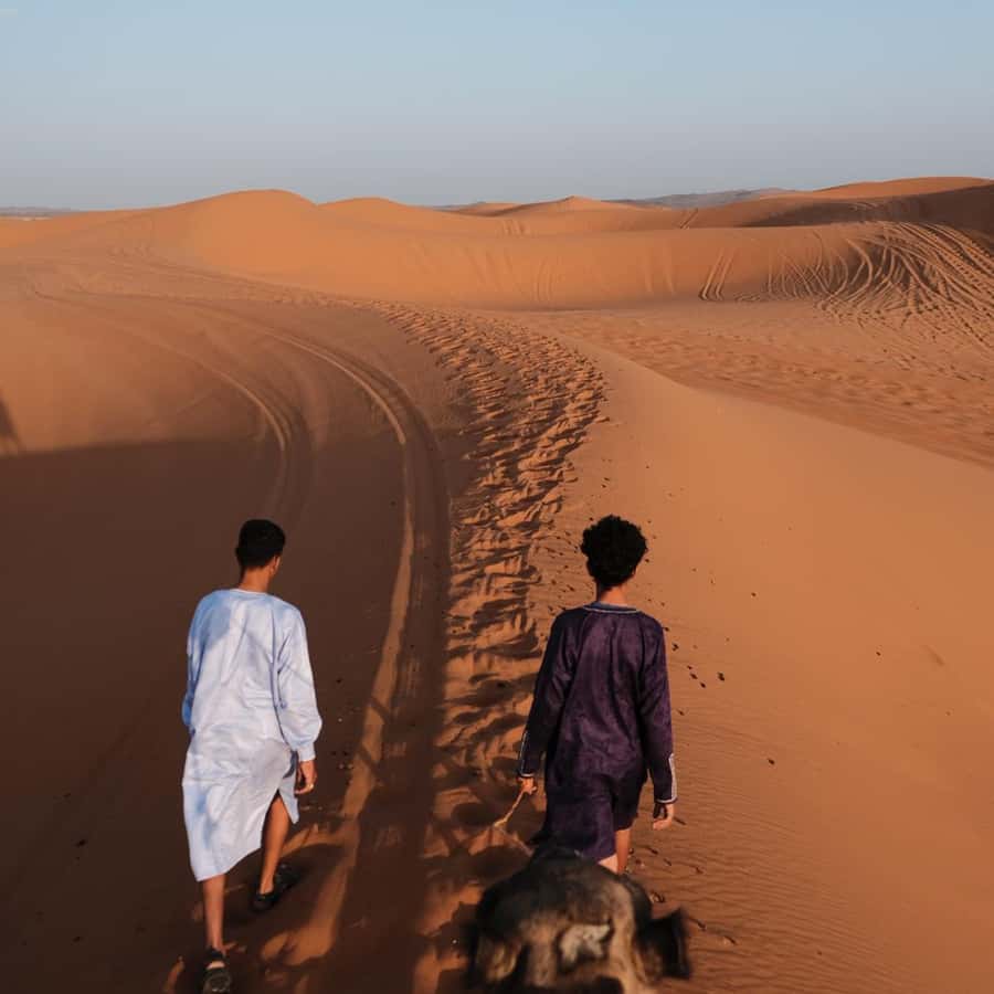 From Fes: 3 Day Magical Desert Camel Trek To Marrakech - From Fez to Ifrane and Azrou: the Atlas warm-up you’ll remember
