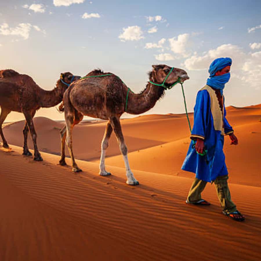 From Fes: 3 Day Magical Desert Camel Trek To Marrakech - Ouarzazate and the UNESCO day: Ait Ben Haddou plus Door of the Sahara