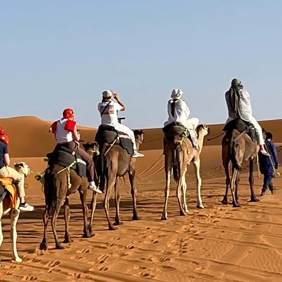 From Fes: 3 Day Magical Desert Camel Trek To Marrakech - Comfort, meals, and what you can count on (and what you can’t)
