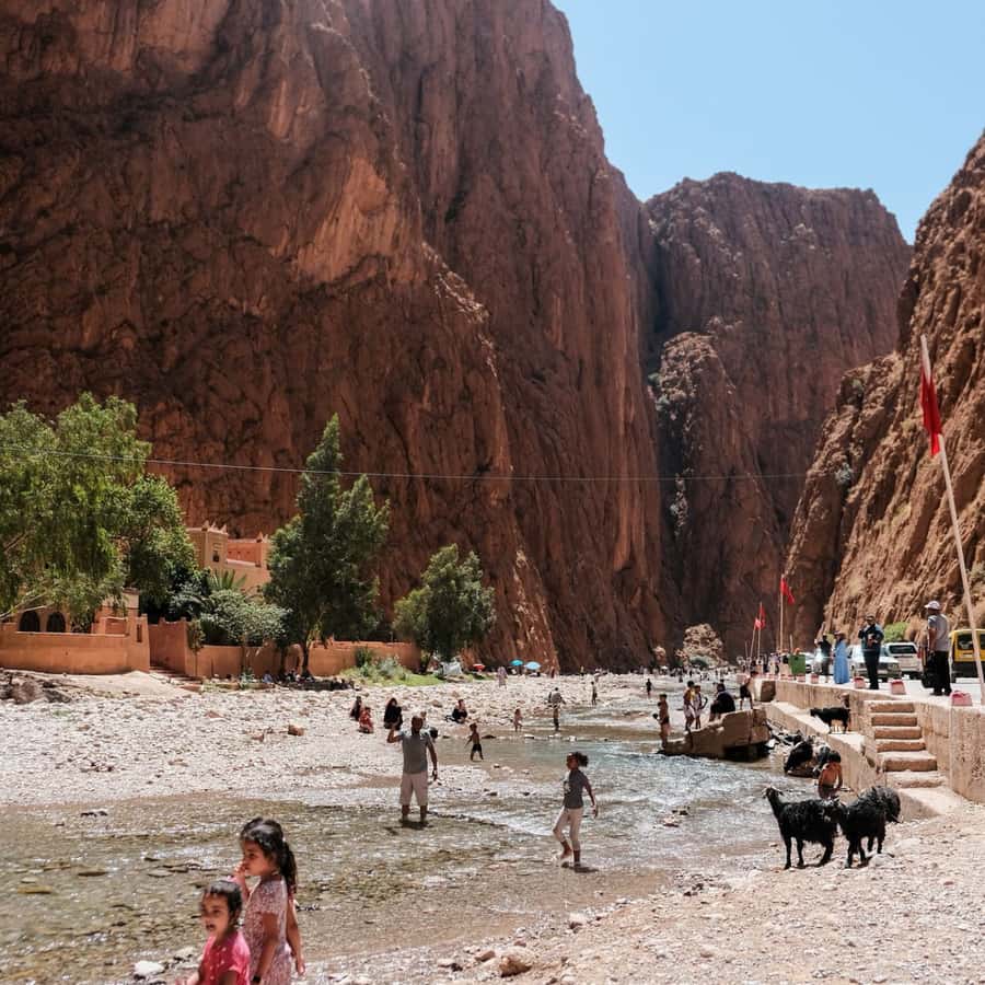 From Fes: 3 Day Magical Desert Camel Trek To Marrakech - Is this Fes to Marrakech desert tour good value for you?