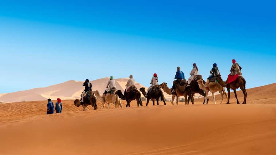 From Fes: 3-Days 2-Nights Desert Tour to Marrakech - Price and What You’re Actually Buying at Around $171