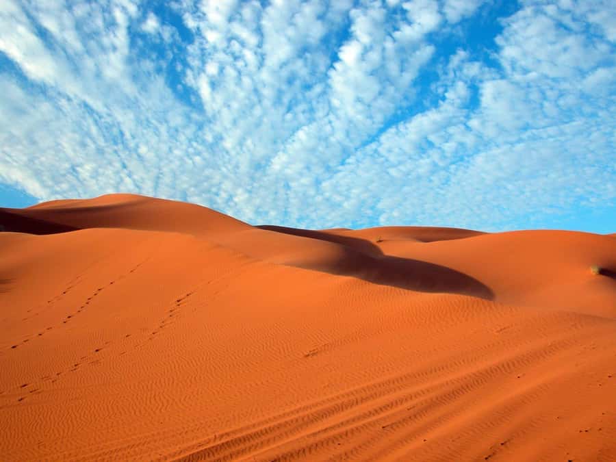 From Fes: 3-Days 2-Nights Desert Tour to Marrakech - Should You Book This Desert Tour From Fez to Marrakech?