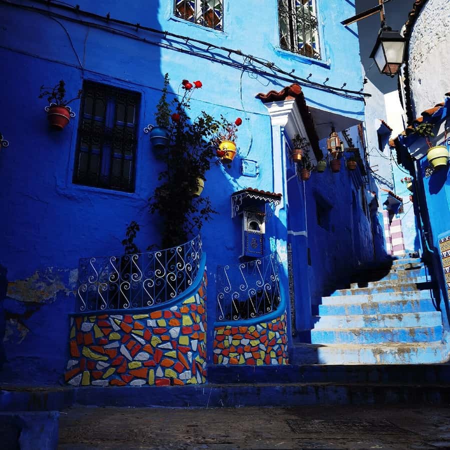 From Fes: Chefchaouen Day Trip with Return Transfers - The Grand Mosque Hilltop: Panoramic Views That Feel Like a Reward