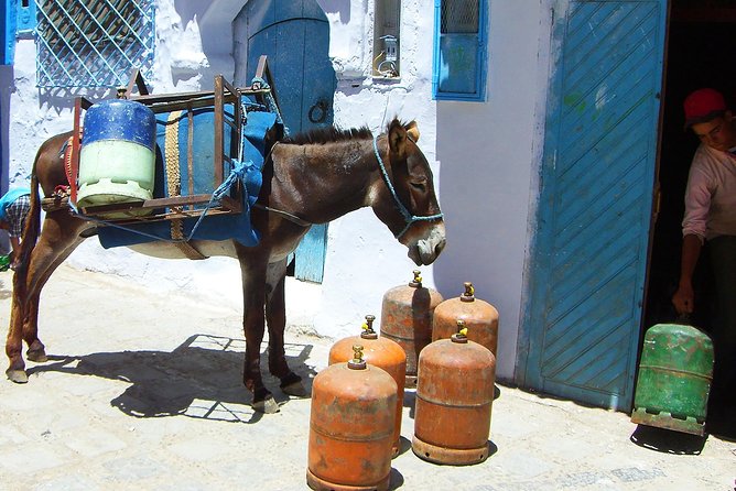 From Fes : Chefchaouen Day trip with small Group - Lunch planning: what’s included, what isn’t, and how to avoid awkward timing