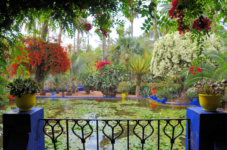 From Fes: Imperial Cities Highlights and 8-Day Sahara Trip - Merzouga dunes and your camel ride under the stars