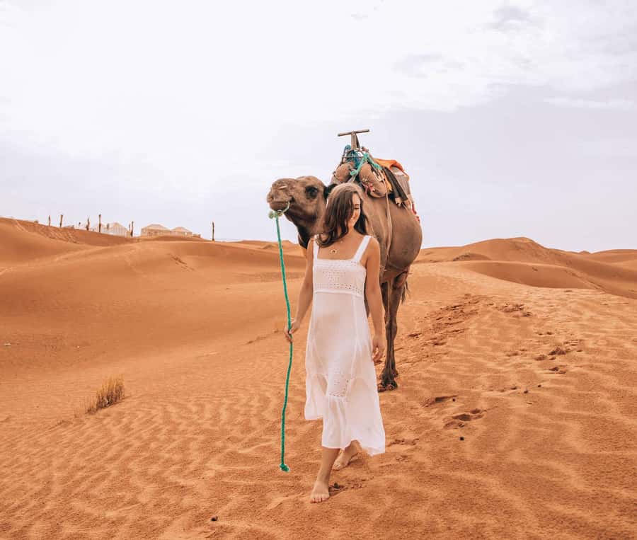 From Fes To Marrakech: 2-Days with Luxury Camp, Desert Tour - Long-Drive Logistics: Comfort, Stops, and Group Pace
