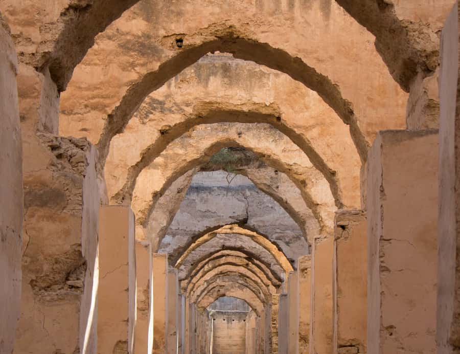 From Fes: Volubilis, Moulay Idriss and Meknes Full-Day Trip - Moulay Idriss Zerhoun: Short Visit, Big Spiritual Gravity