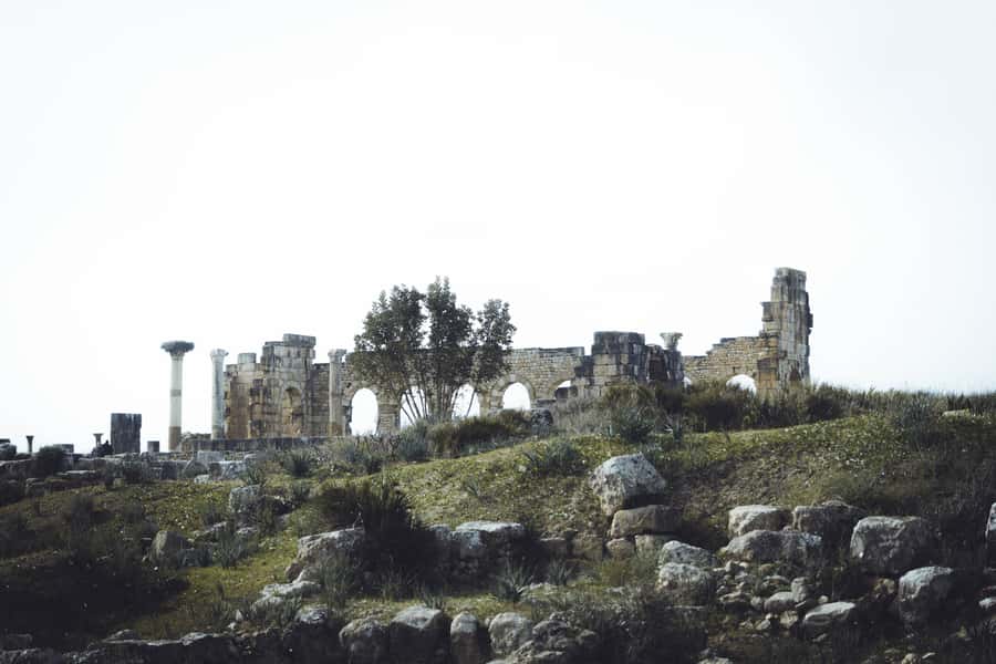 From Fes: Volubilis, Moulay Idriss and Meknes Full-Day Trip - Volubilis Roman Ruins: Where to Spend Your Focus