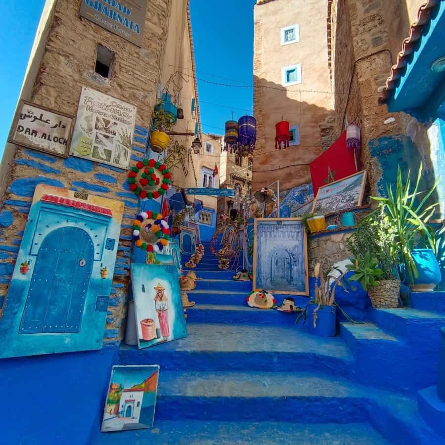 From Fez : 1 Night-2 Days Chefchaouen trip to the blue city - Who should book this trip, and who should skip it