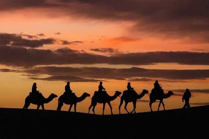 From Fez: 2-Day Desert Tour with Return to Fez or Marrakech - Day 2 sunrise on the dunes, then back to Merzouga and Fez