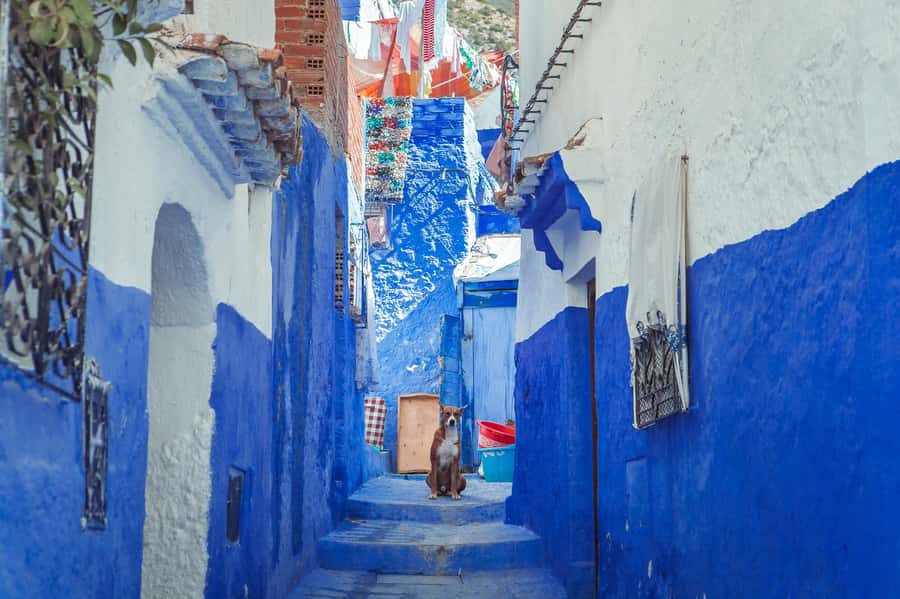 From Fez: Chefchaouen Full-Day Trip - From Fez to Chefchaouen: the long drive that actually helps