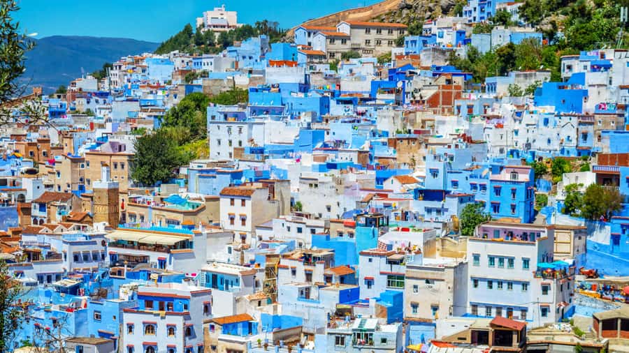 From Fez: Chefchaouen Full-Day Trip - Time in town: balancing freedom with the reality of a 12-hour day