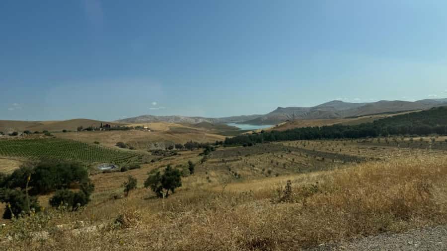 From Fez: Meknes, Volubilis and Moulay Idriss Day Trip - Drivers, languages, and how to get the most out of the day