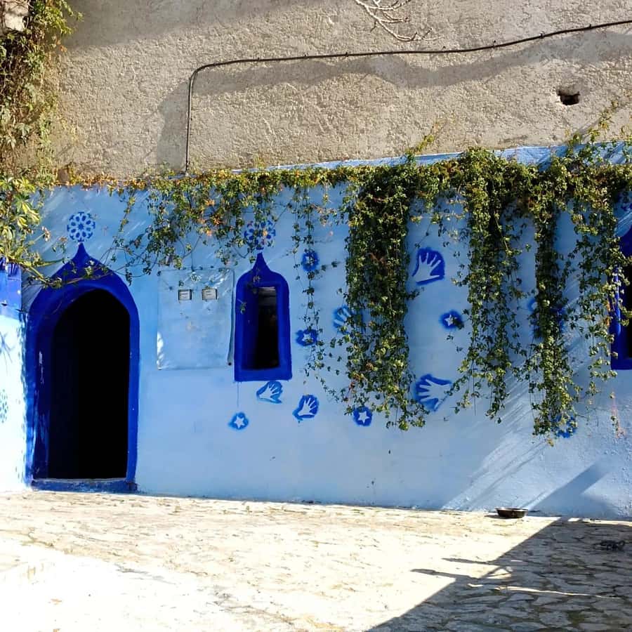From Fez : Memorable Day Trip to Chefchaouen the Blue City - Key things to know before you go