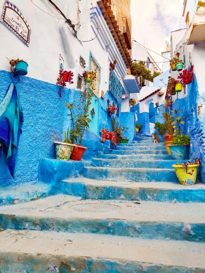 From Fez : Memorable Day Trip to Chefchaouen the Blue City - Fez pickup near Bab Boujloud or Recif and the tea welcome