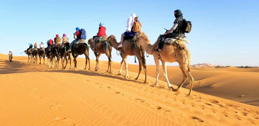 From Fez: Round-Trip Overnight Merzouga Desert Tour - Day 1: Fez to Merzouga with mountain towns, monkeys, and valley views