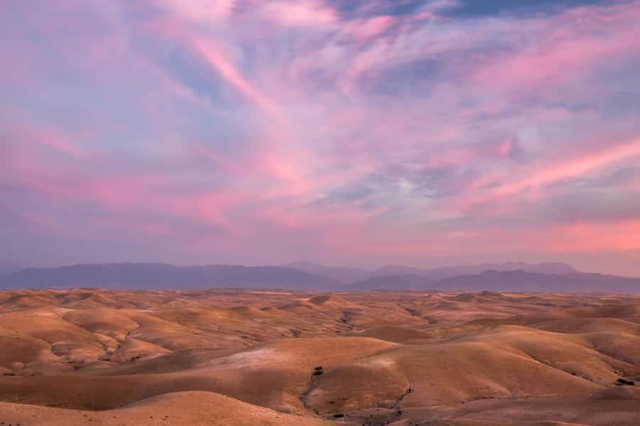 From Marrakech: 1-Hour Sunset Camel Ride in Agafay Desert - The drive out and the lead-in to the ride