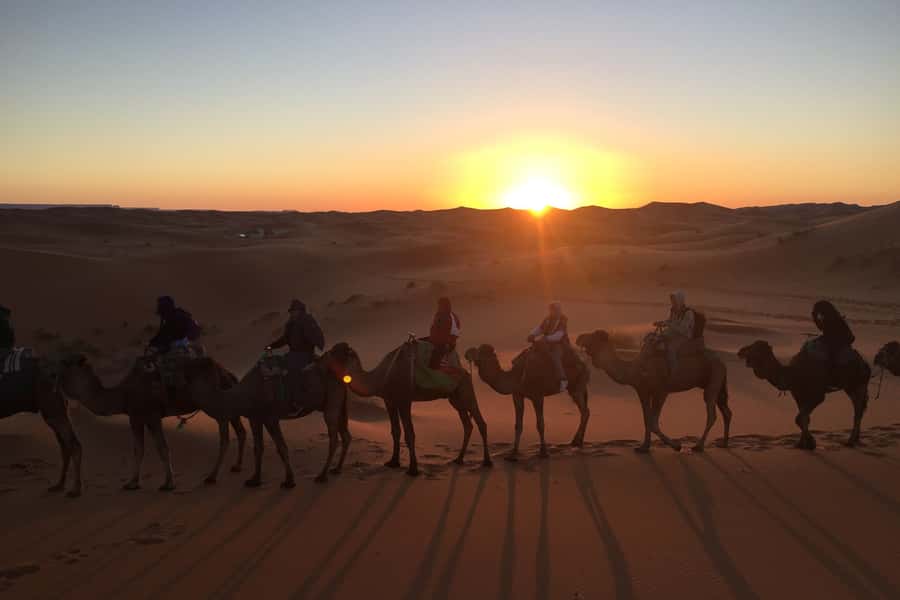 From Marrakech: 2-Day Sahara Tour to Zagora & Ait Ben Haddou - Zagora sunset camel ride: the moment you booked for