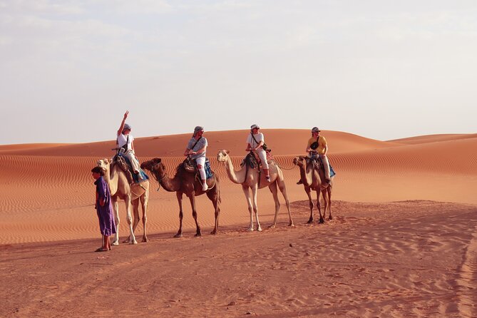 From Marrakech : 2 Day Stay in Merzouga with Food and Camel Trek - Day 1: High Atlas crossings, Ait Ben Haddou, then down toward the Sahara