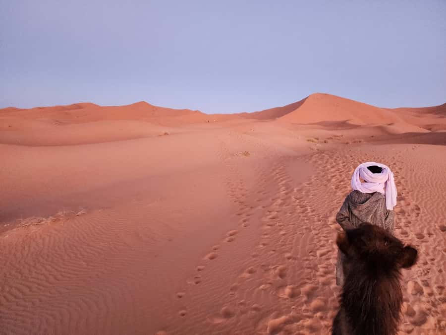 From Marrakech: 2-Day Trip to Ouarzazate & Merzouga w/ Meals - From Merzouga to the dunes: camel sunset and a Berber camp night