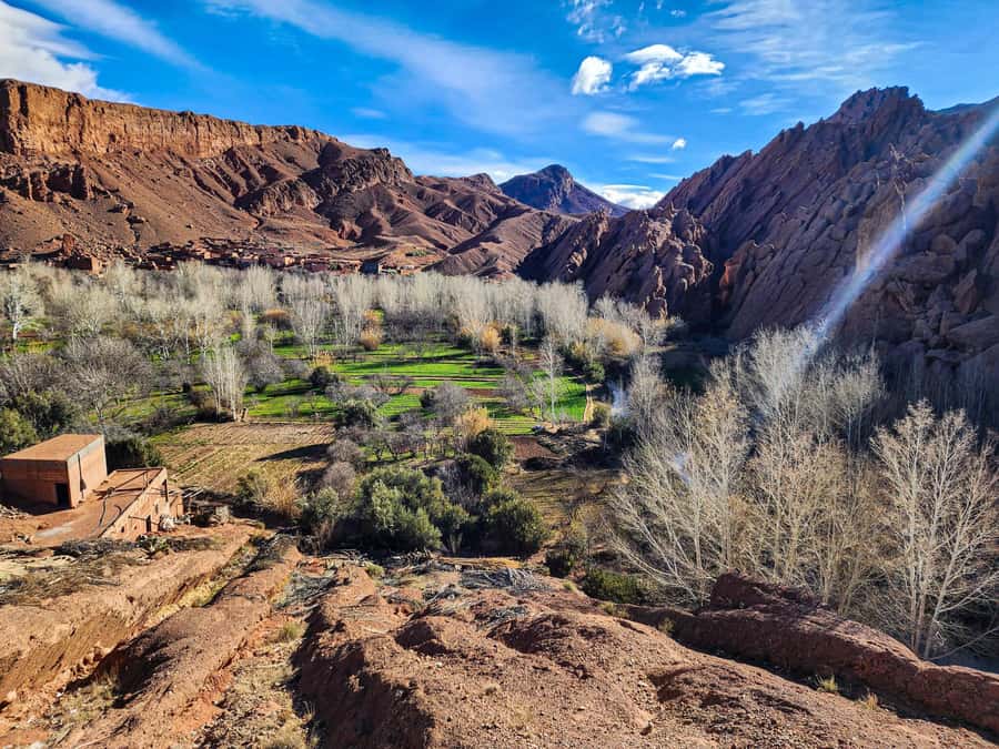 From Marrakech: 2-Day Trip to Ouarzazate & Merzouga w/ Meals - Price and value: why $350 can work (and when to double-check)