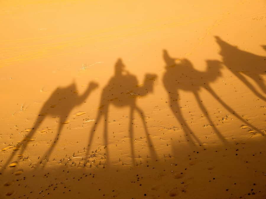 From Marrakech: 2-Day Zagora Desert Camp Trip - Small tips that make a big difference