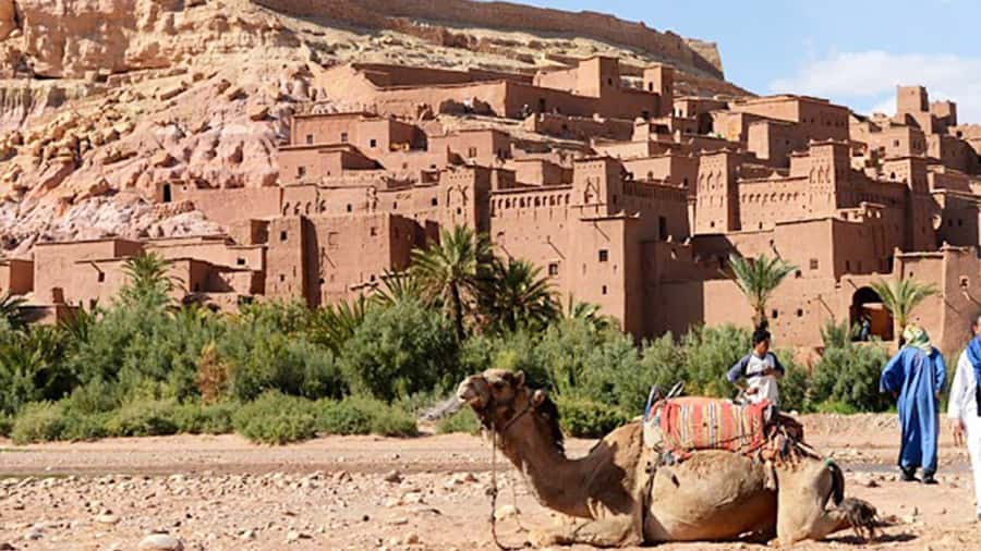 From Marrakech: 2-Day Zagora Desert Tour With Luxury Camp - The Draa Valley drive and Agdez palm groves: the calm before the sand