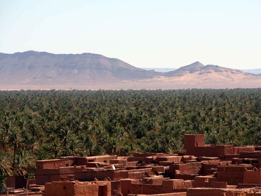 From Marrakech: 2-Day Zagora Desert Trip - Key Things You’ll Notice on This Zagora Trip