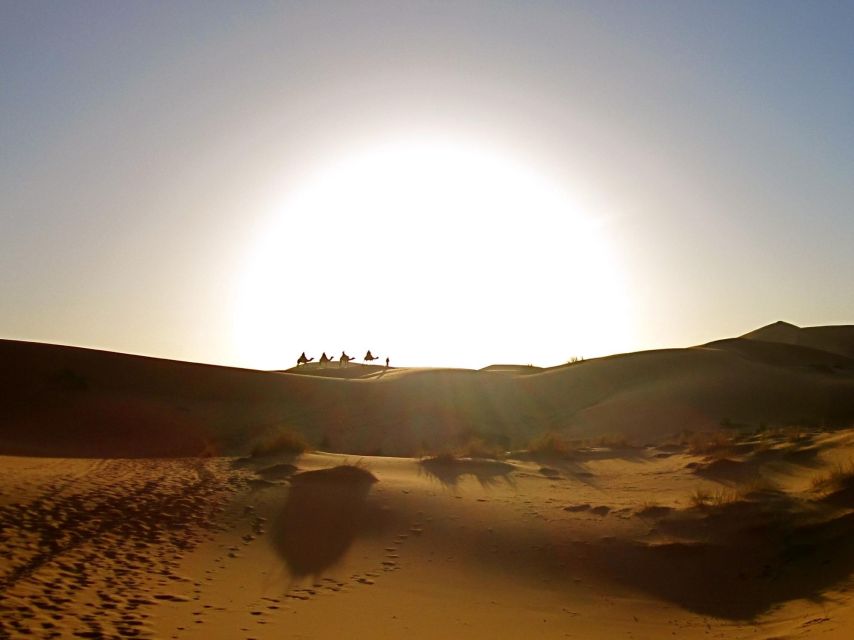 From Marrakech: 2-Day Zagora Desert Trip - Sunrise Morning and the Optional Camel Trek Back