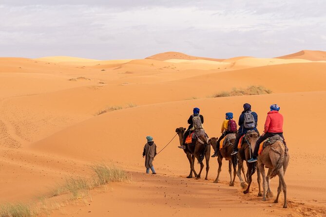 From Marrakech: 3-Day, 2-Night Merzouga Dunes Desert Trip - Day 2: Merzouga dunes, camel time, and a night of drums in the sand
