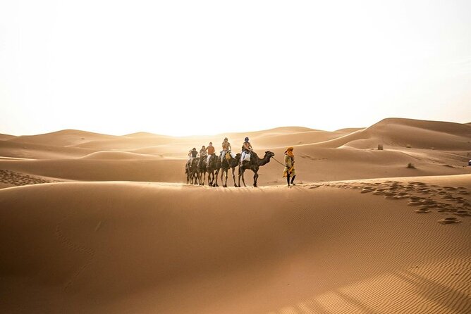 From Marrakech: 3-Day Desert Tour to Agadir - Camels, Sandboarding, and the Real Rhythm of the Dunes