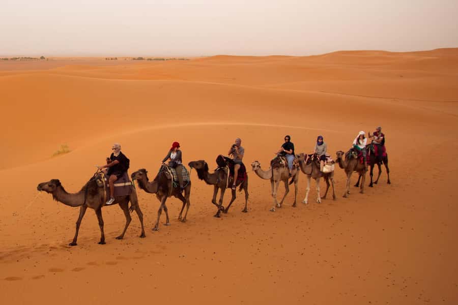 From Marrakech: 3-Day Desert Tour to Fes via Erg Chebbi - Todra Gorges And The Road of the 1000 Kasbahs On Day 2