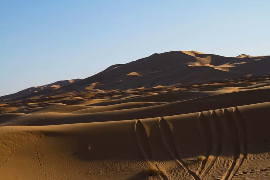 From Marrakech: 3-Day Desert Tour to Merzouga Erg Chebbi - Key things I’d circle before you go