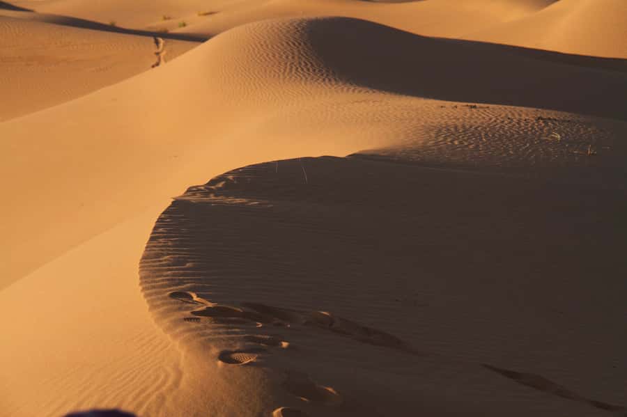 From Marrakech: 3-Day Desert Tour to Merzouga Erg Chebbi - Marrakech to Tinghir: the long road that sets the tone