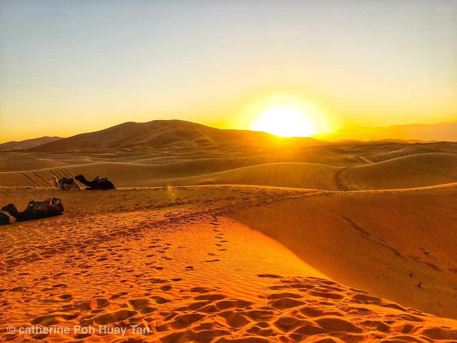From Marrakech: 3-Day Desert Tour to Merzouga Erg Chebbi - The return day: sunrise back, then Atlas back to Marrakech