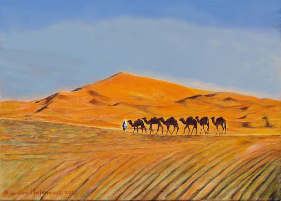 From Marrakech: 3-Day Desert Tour to Merzouga Erg Chebbi - Price and value: where your $128 actually goes