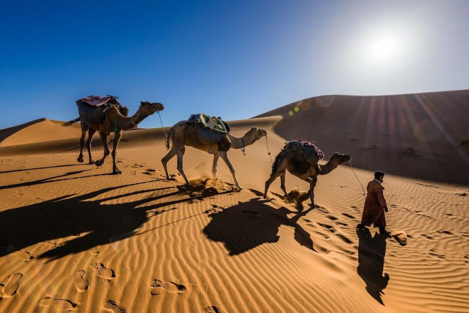 From Marrakech: 3-Day Luxury Desert Tour to Fes via Merzouga - Should you book this Marrakech to Fes desert tour?