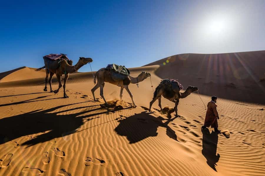 From Marrakech: 3-Day Luxury Desert Tour to Fes via Merzouga - Quick heads-up on time, fatigue, and comfort