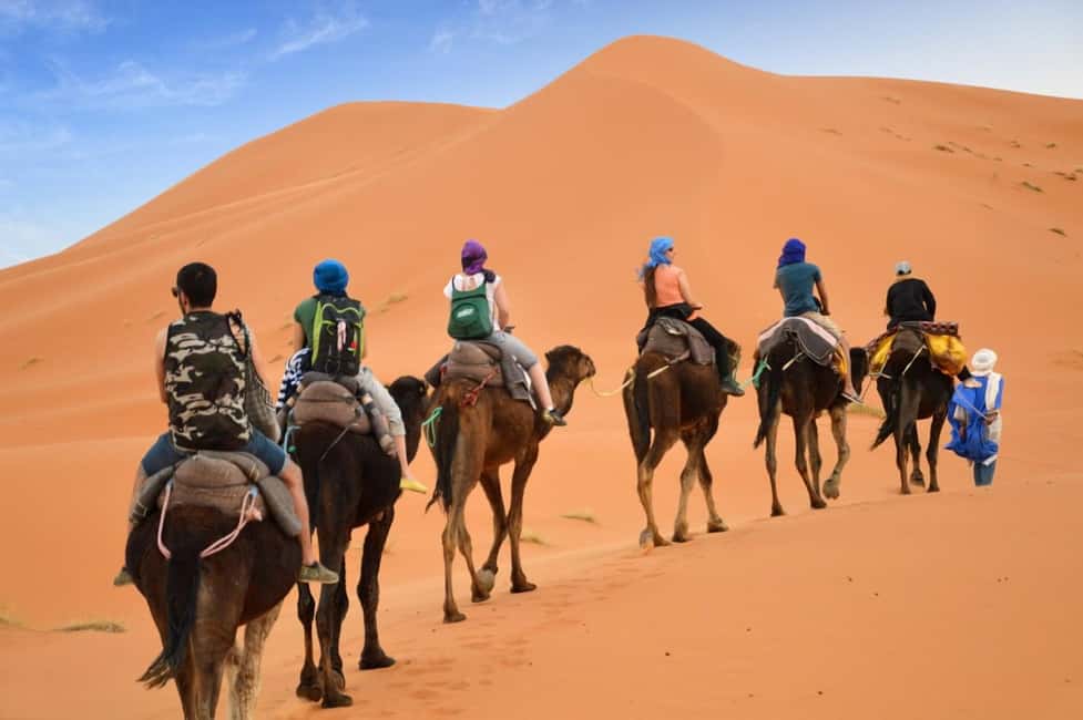 From Marrakech: 3-Day Merzouga and Sahara Desert Camel Trip - The Desert Camp Setup: What Standard vs Luxury Really Changes