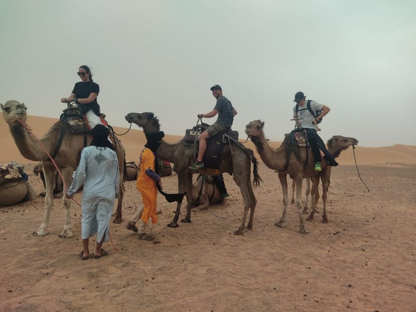 From Marrakech: 3-Day Merzouga & Sahara Desert Experience - Camel trek into Erg Chebbi: the sunset moment you plan for