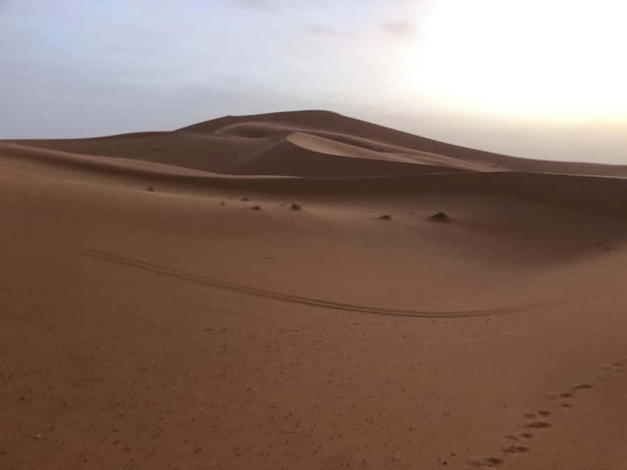 From Marrakech: 3-Day Merzouga & Sahara Desert Experience - Sunrise and the drive back: Rose Valley stops and a clean ending