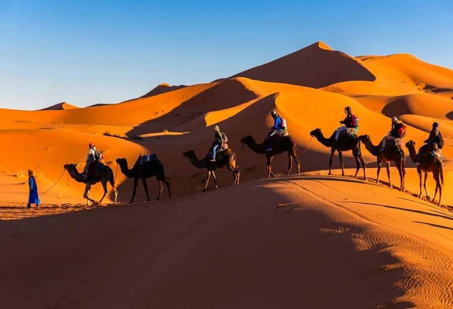 From Marrakech: 3-Day Sahara Desert Adventure to Fes - Day 1: High Atlas Crossing and the First Taste of Southern Morocco