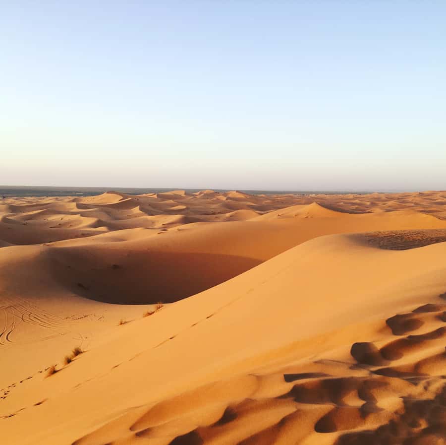 From Marrakech :3-Day Students Group Tour To Merzouga - Key things that make this tour worth your attention