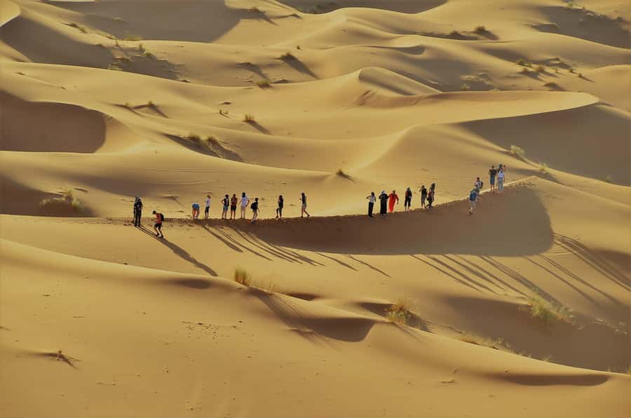 From Marrakech :3-Day Students Group Tour To Merzouga - Marrakech to Merzouga: what the 3 days really feel like