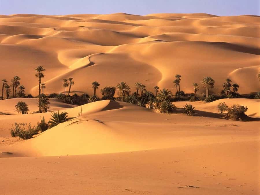 From Marrakech :3-Day Students Group Tour To Merzouga - Day 3: sunrise on Erg Chebbi and the drive back via Draa Valley