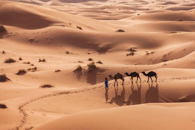 From Marrakech : 3 Days Desert Tour To Fes - Dades Gorges and Todra: canyon scenery without the hiking stress