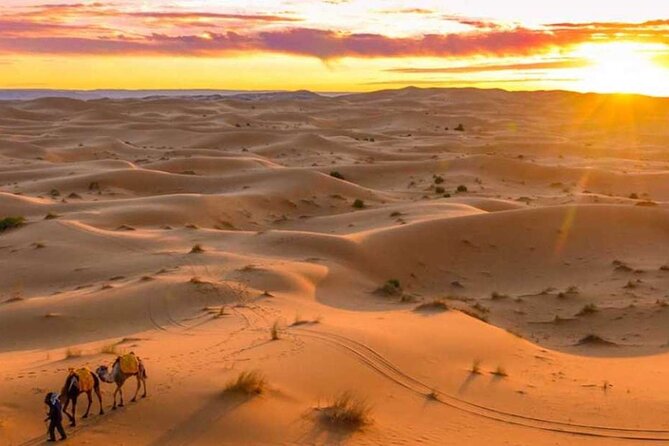 From Marrakech : 3 Days Desert Tour To Fes - Van comfort, real group size, and your guides