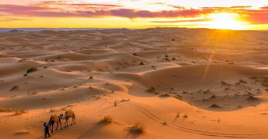 From Marrakech: 3 Days Desert Tour To Merzouga Luxury Camp - Transportation, Pickup, and How to Plan Around It